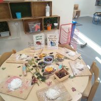 IMG_20240118_092216gggg5_591